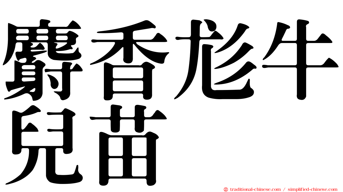 麝香尨牛兒苗