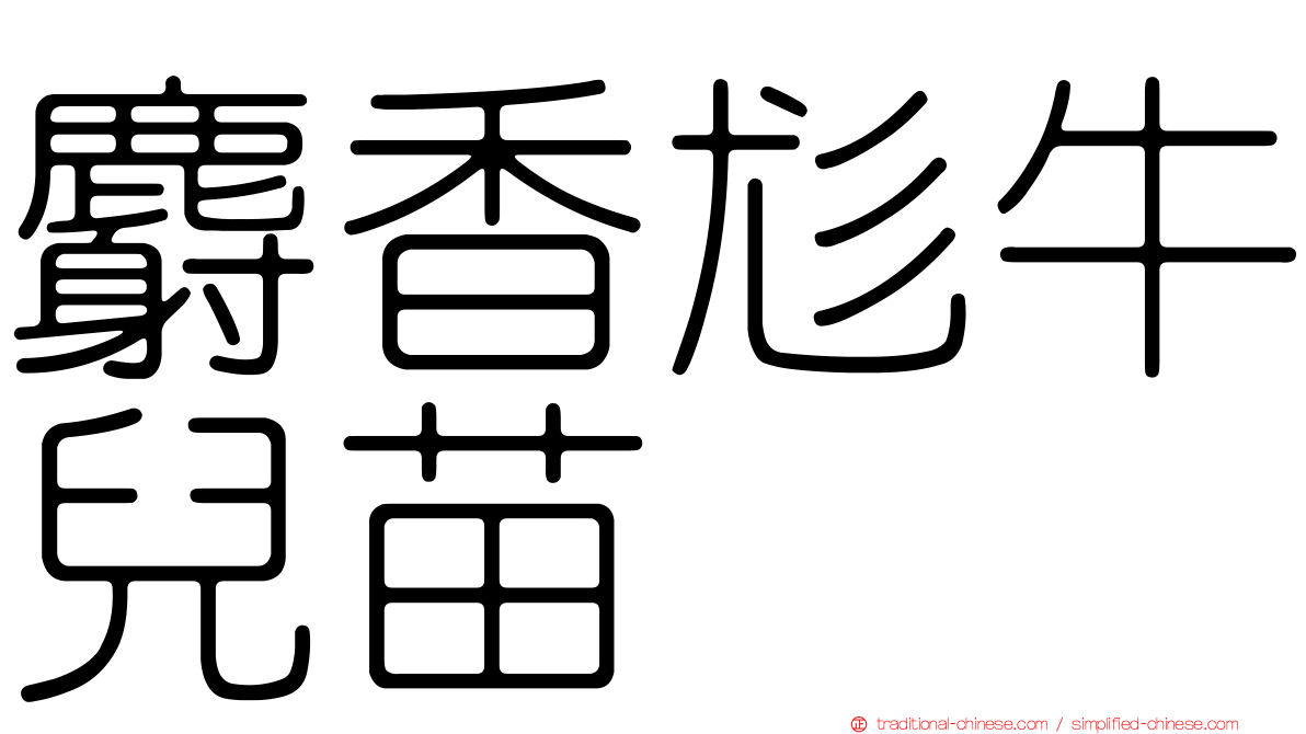 麝香尨牛兒苗