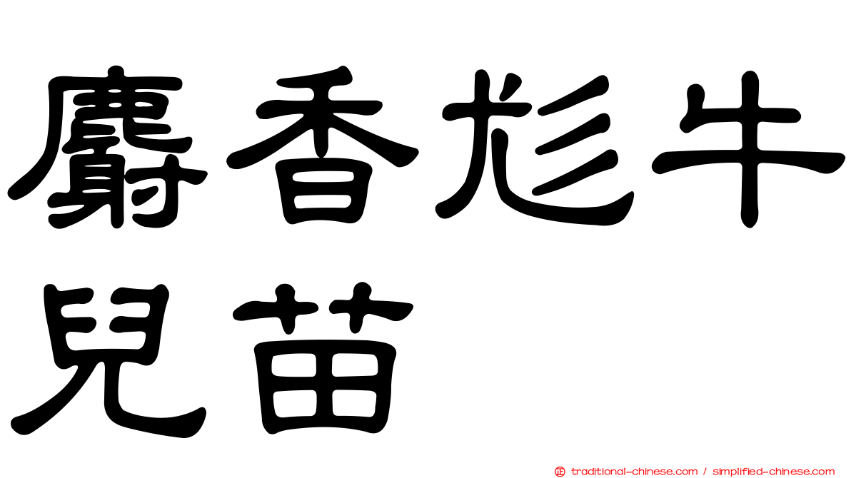 麝香尨牛兒苗