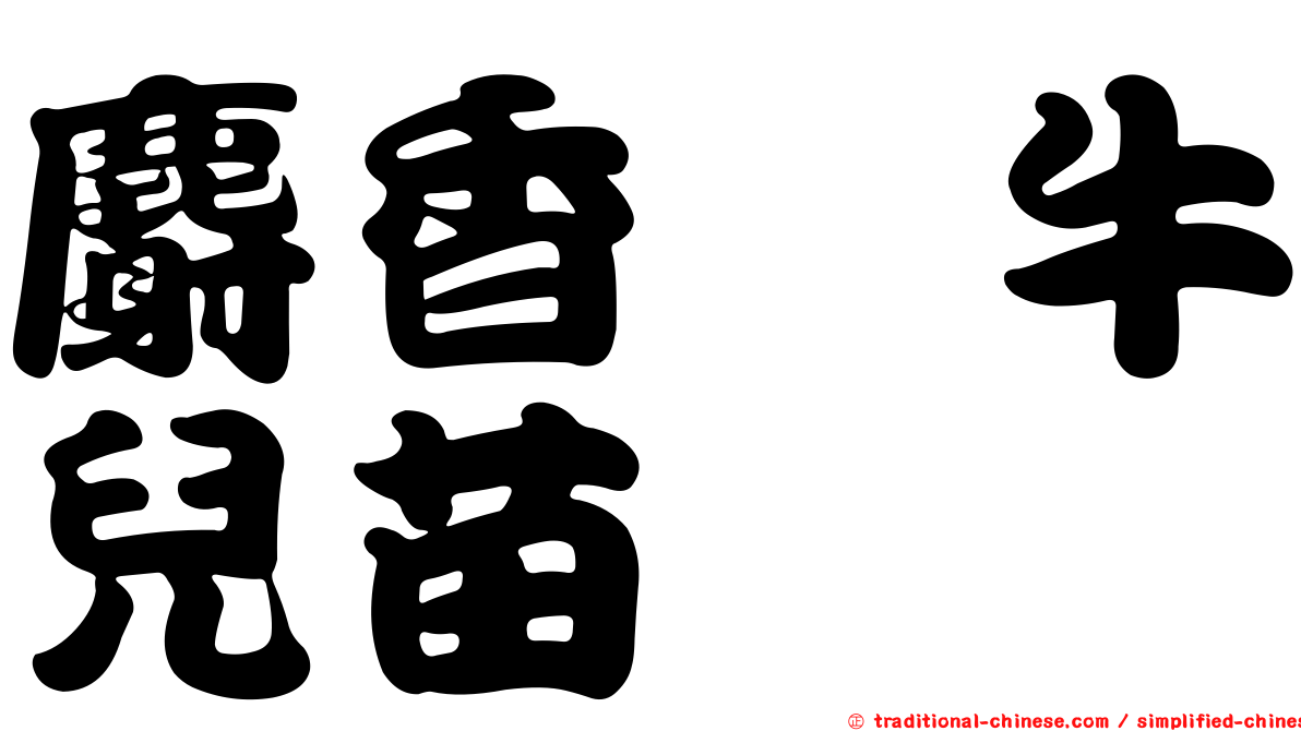 麝香尨牛兒苗