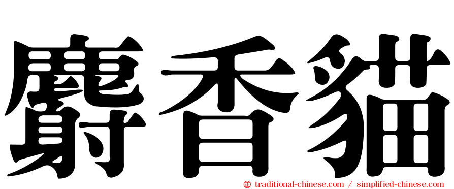 麝香貓