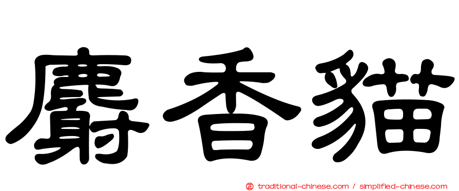 麝香貓
