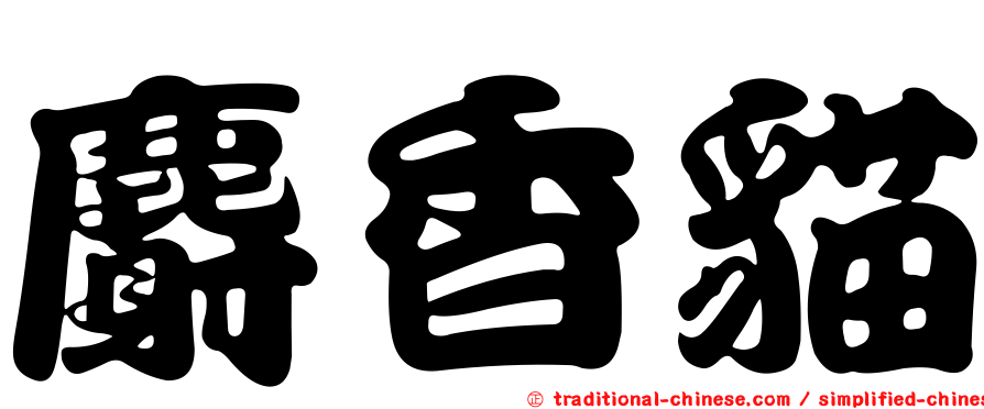 麝香貓
