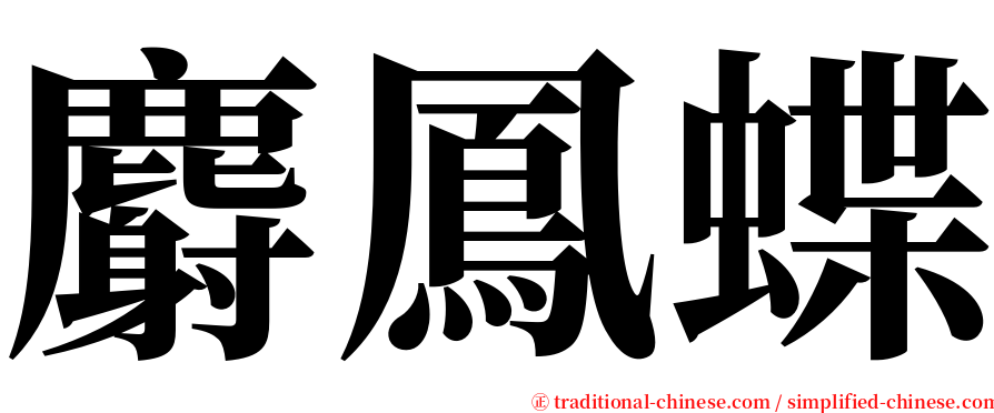 麝鳳蝶 serif font