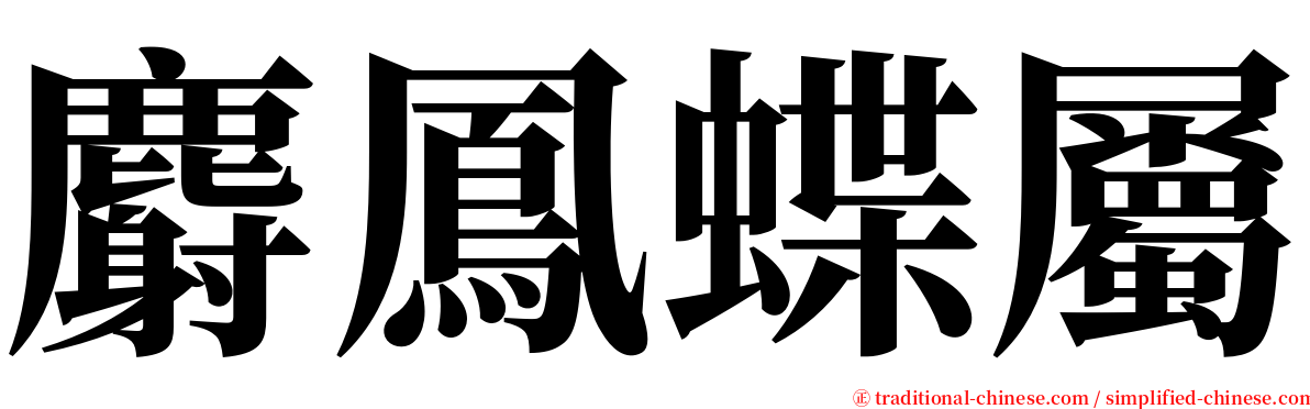 麝鳳蝶屬 serif font