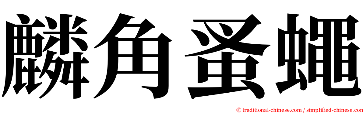 麟角蚤蠅 serif font