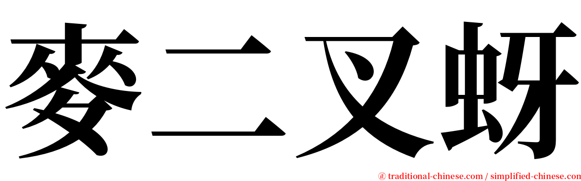 麥二叉蚜 serif font