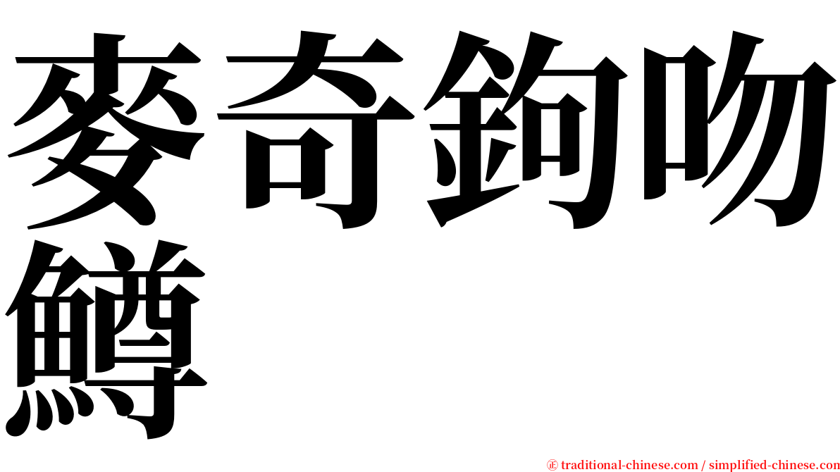 麥奇鉤吻鱒 serif font