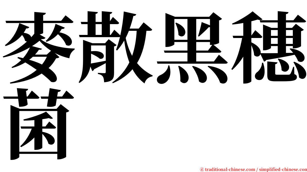 麥散黑穗菌 serif font