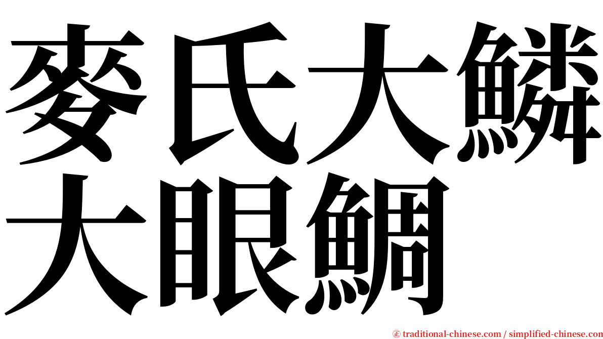 麥氏大鱗大眼鯛 serif font