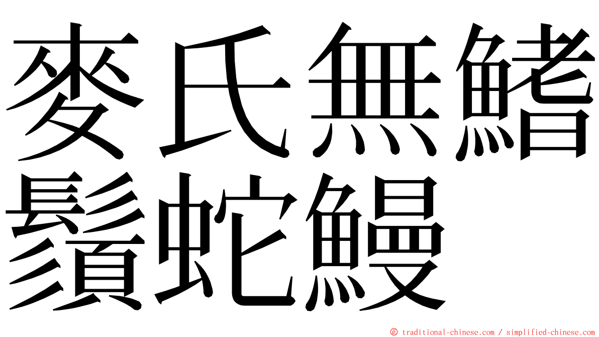 麥氏無鰭鬚蛇鰻 ming font