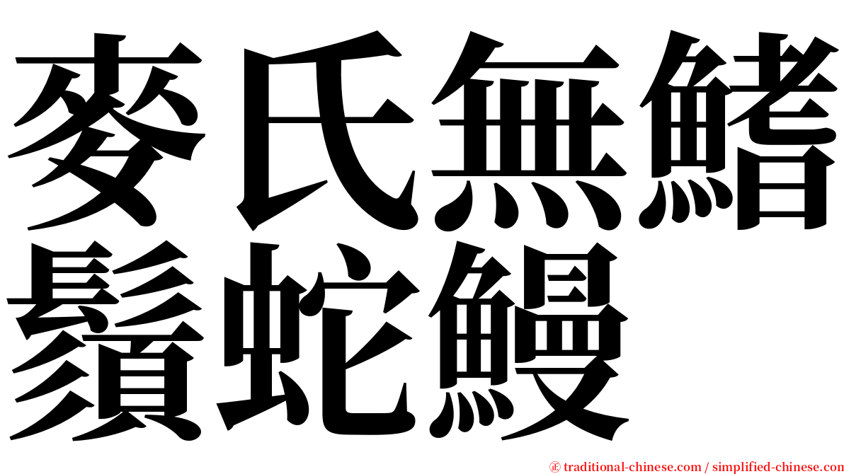 麥氏無鰭鬚蛇鰻 serif font