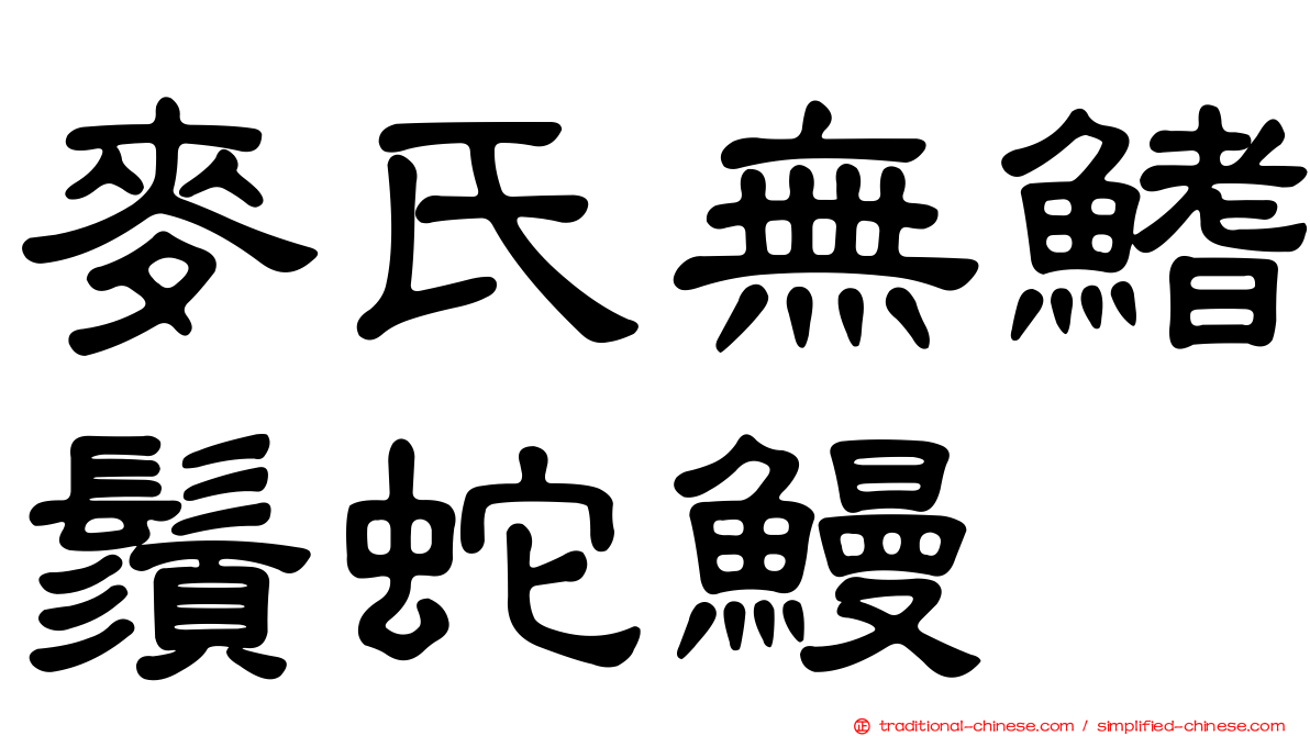 麥氏無鰭鬚蛇鰻