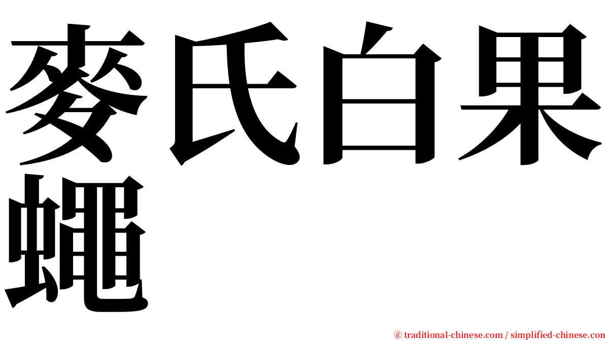 麥氏白果蠅 serif font