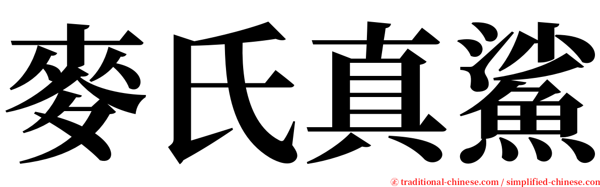 麥氏真鯊 serif font