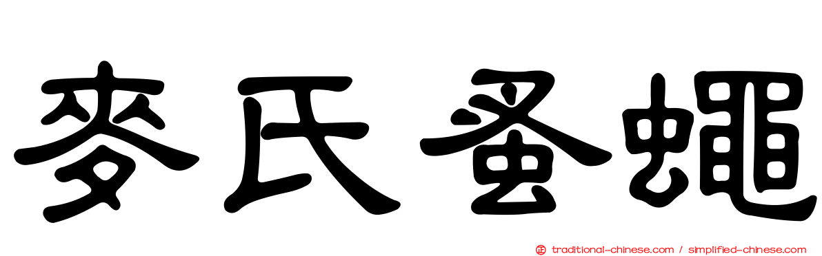 麥氏蚤蠅