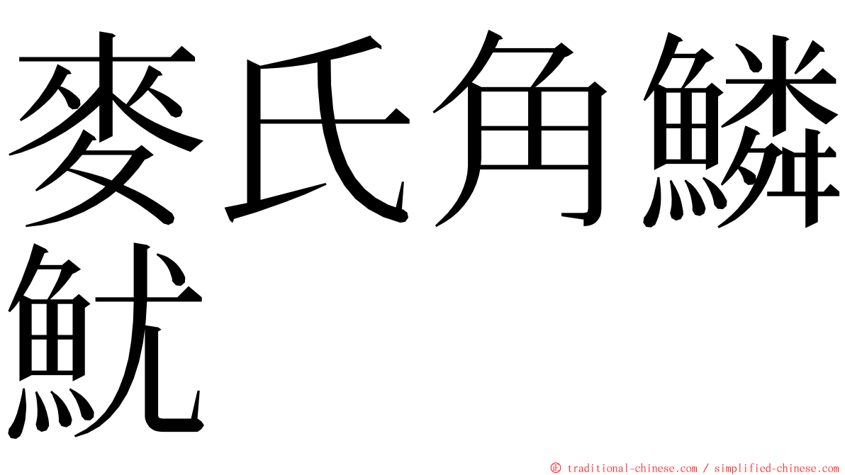 麥氏角鱗魷 ming font