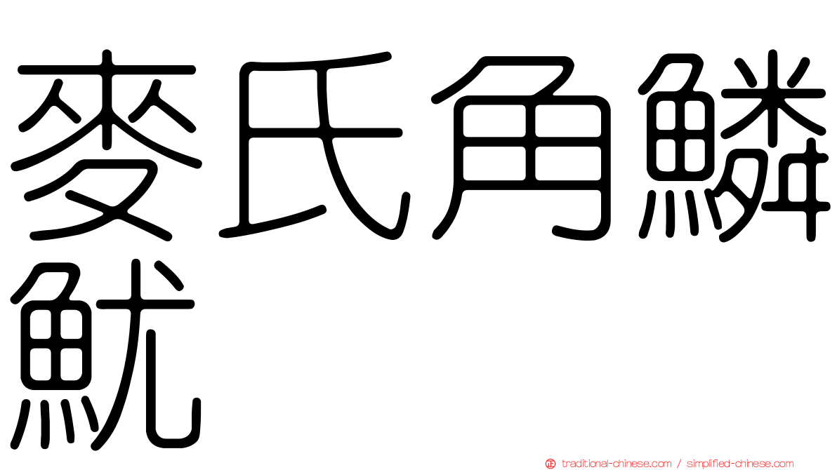 麥氏角鱗魷