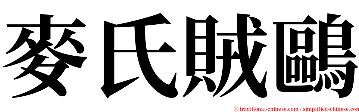 麥氏賊鷗 serif font