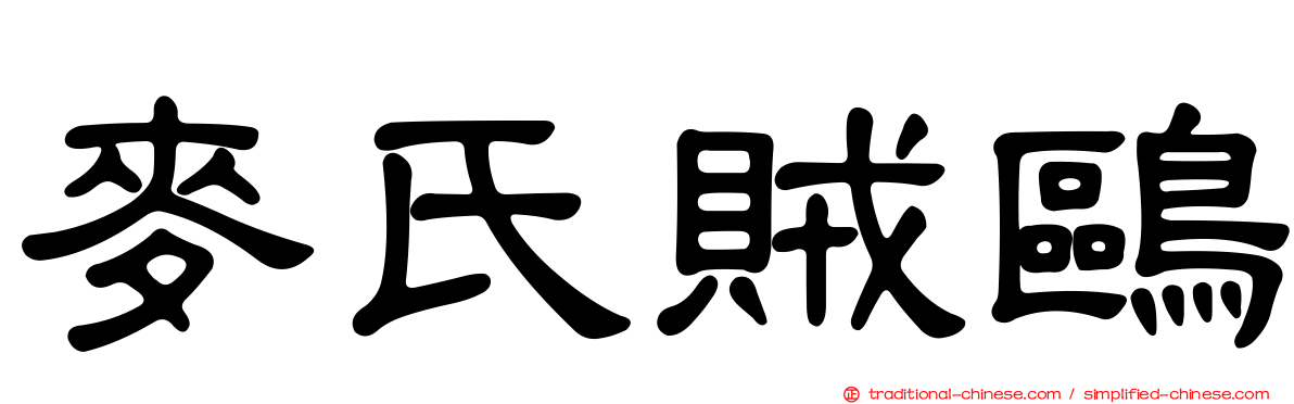 麥氏賊鷗