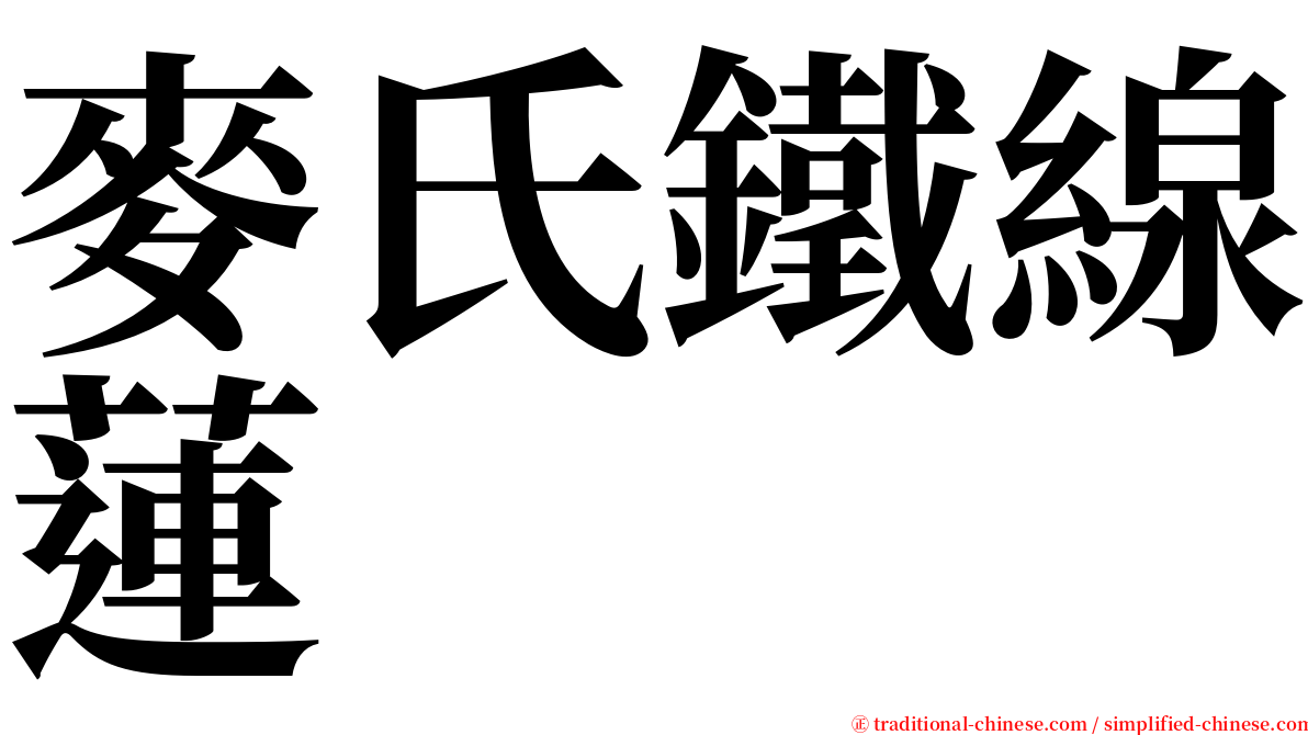 麥氏鐵線蓮 serif font