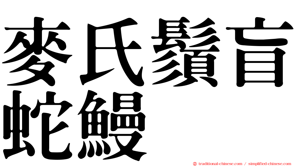 麥氏鬚盲蛇鰻