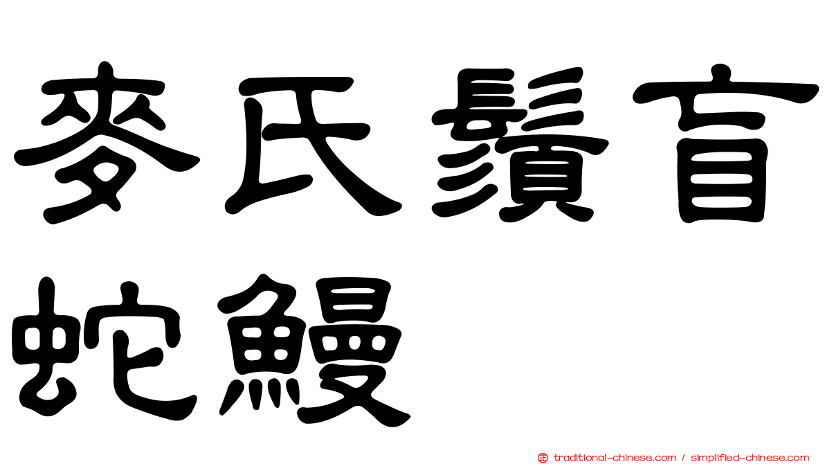 麥氏鬚盲蛇鰻
