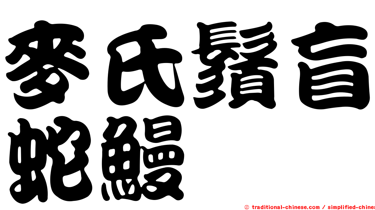 麥氏鬚盲蛇鰻