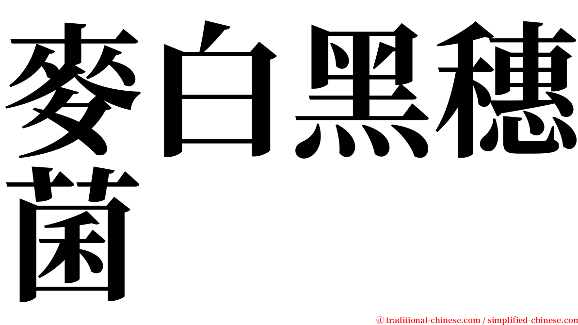 麥白黑穗菌 serif font