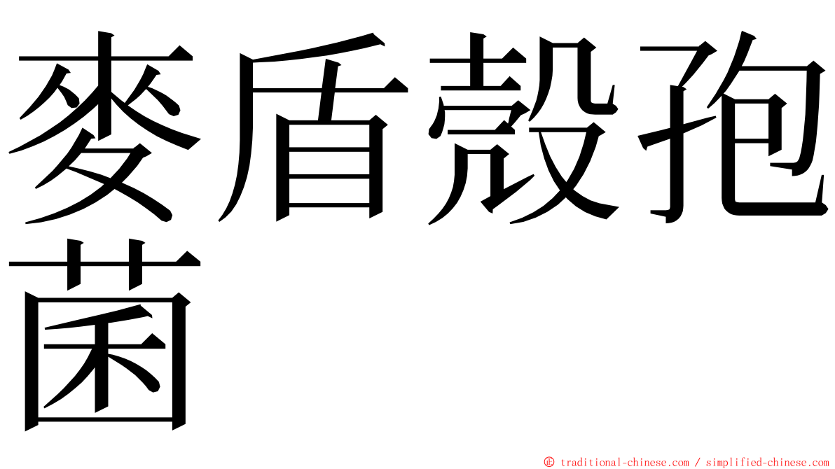 麥盾殼孢菌 ming font