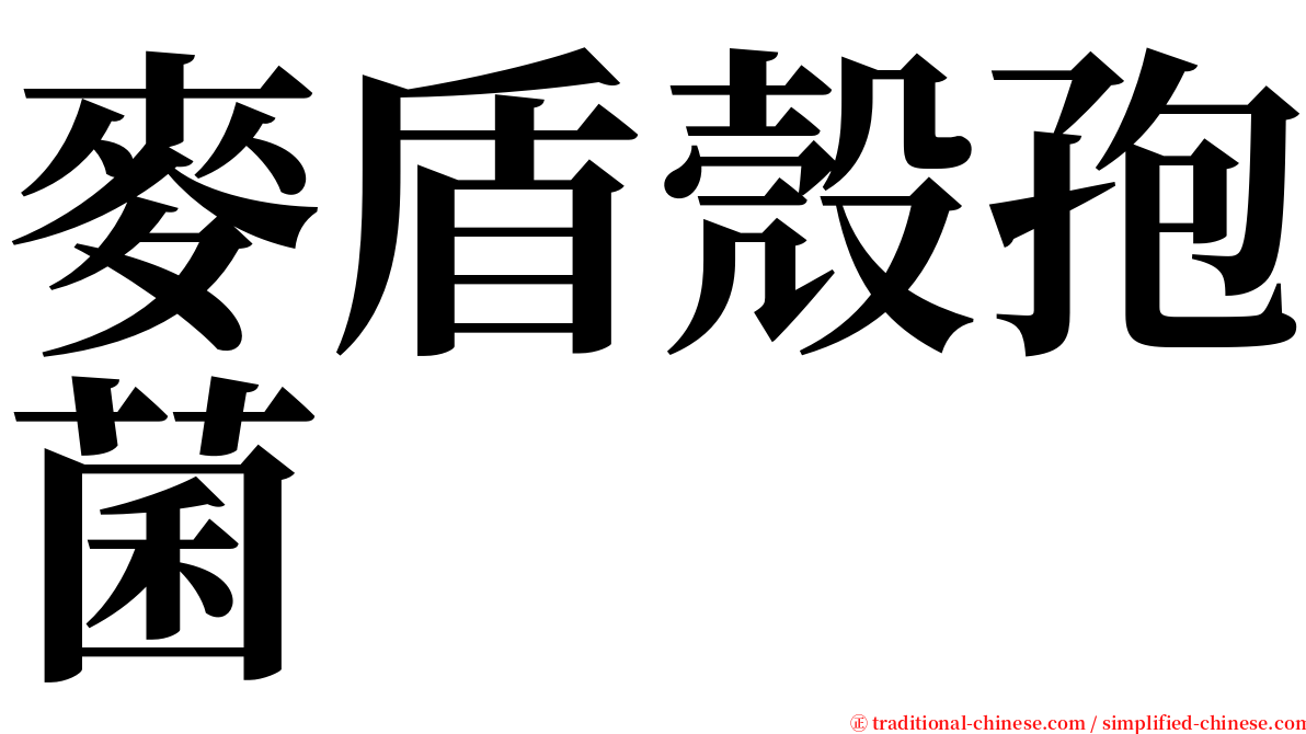 麥盾殼孢菌 serif font