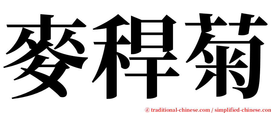 麥稈菊 serif font