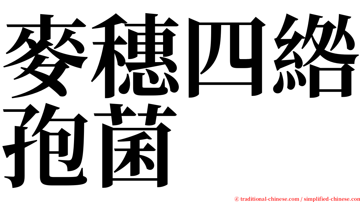 麥穗四綹孢菌 serif font