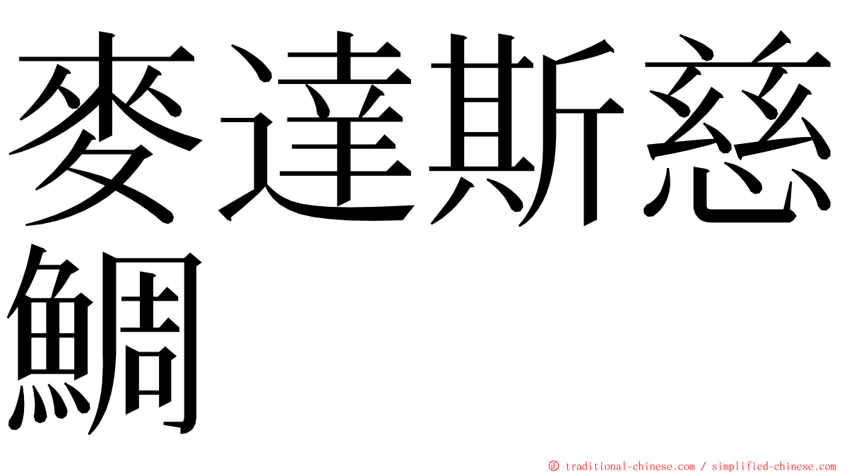 麥達斯慈鯛 ming font