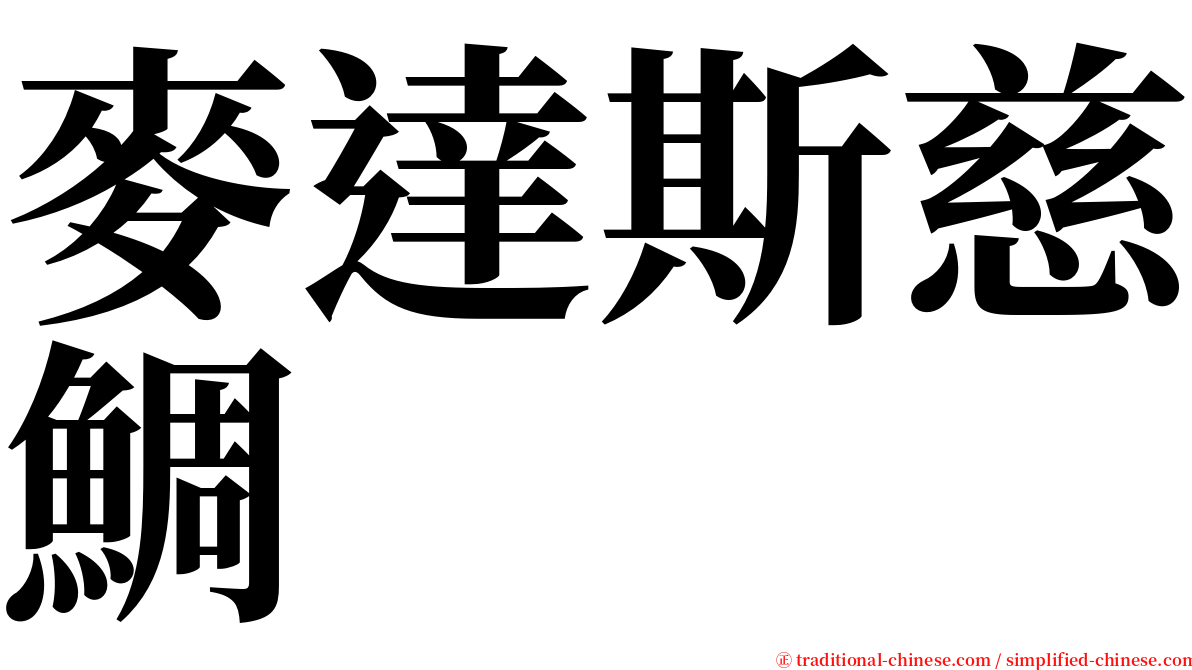 麥達斯慈鯛 serif font