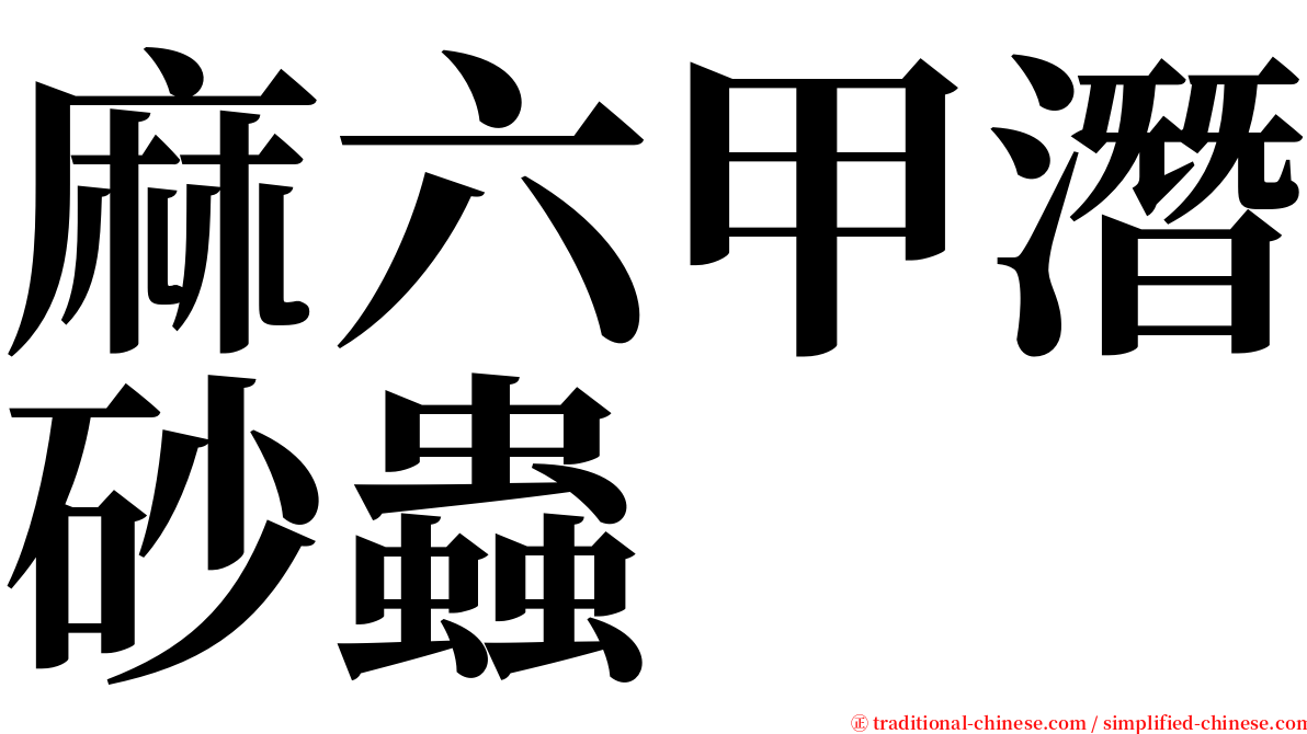 麻六甲潛砂蟲 serif font