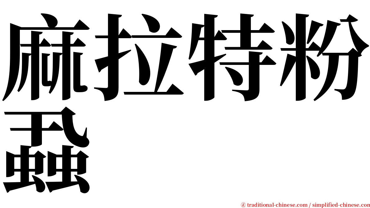 麻拉特粉蝨 serif font