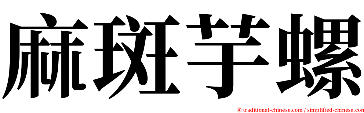 麻斑芋螺 serif font