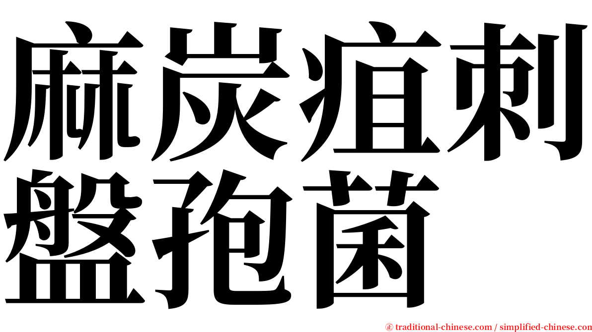 麻炭疽刺盤孢菌 serif font