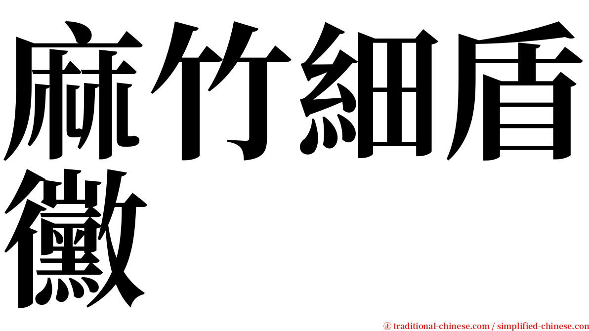 麻竹細盾黴 serif font