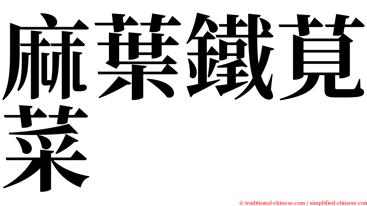 麻葉鐵莧菜 serif font