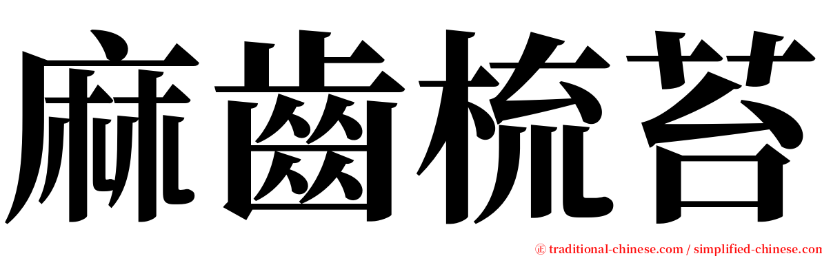 麻齒梳苔 serif font