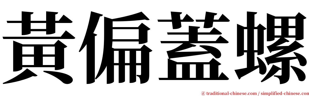 黃偏蓋螺 serif font