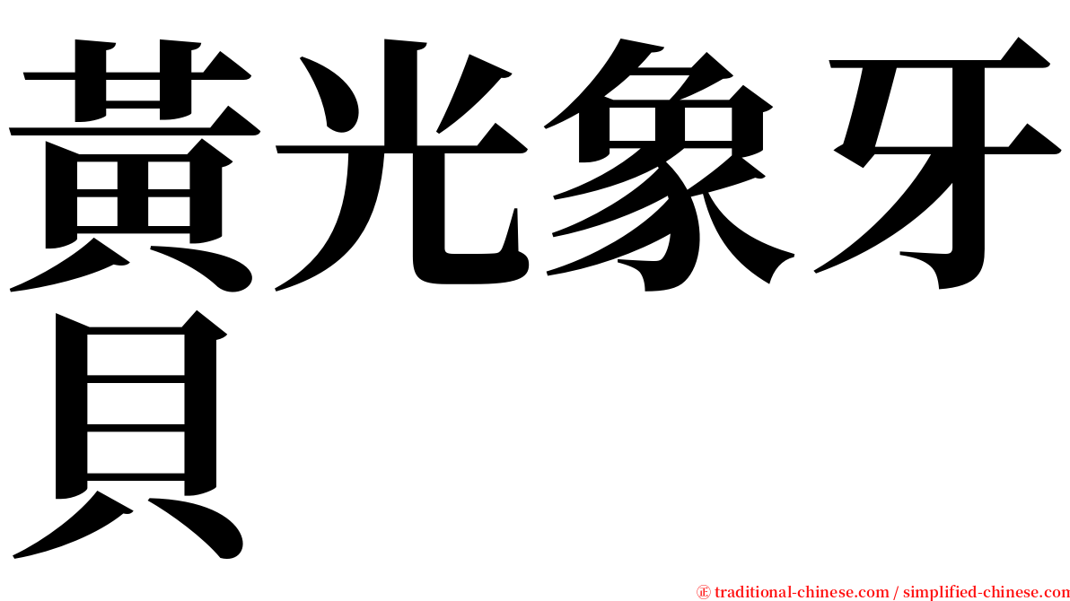 黃光象牙貝 serif font