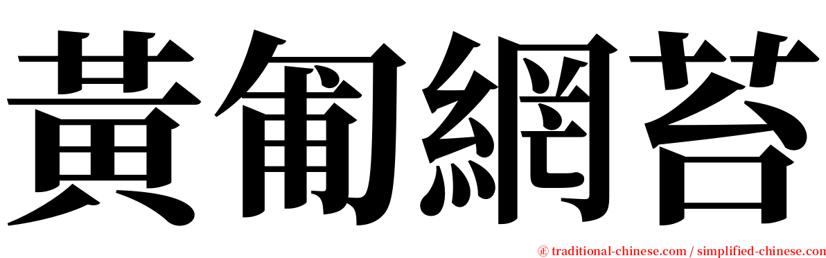 黃匍網苔 serif font