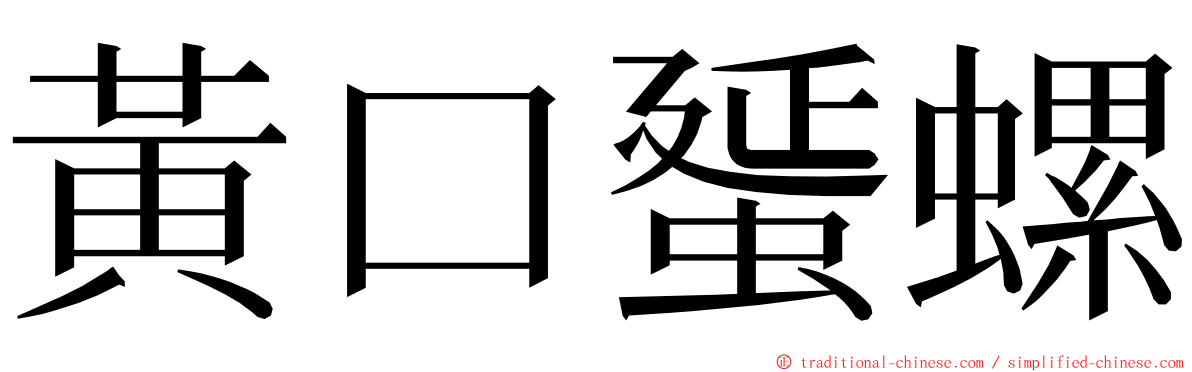 黃口蜑螺 ming font