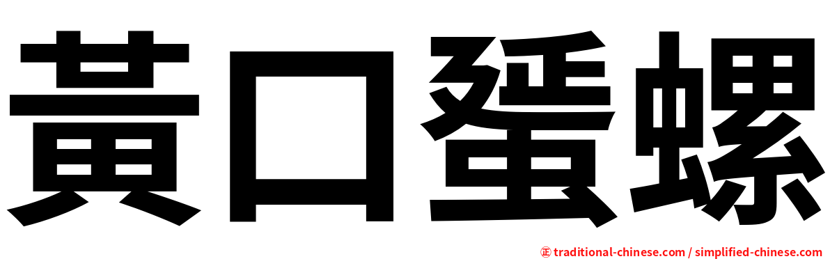 黃口蜑螺