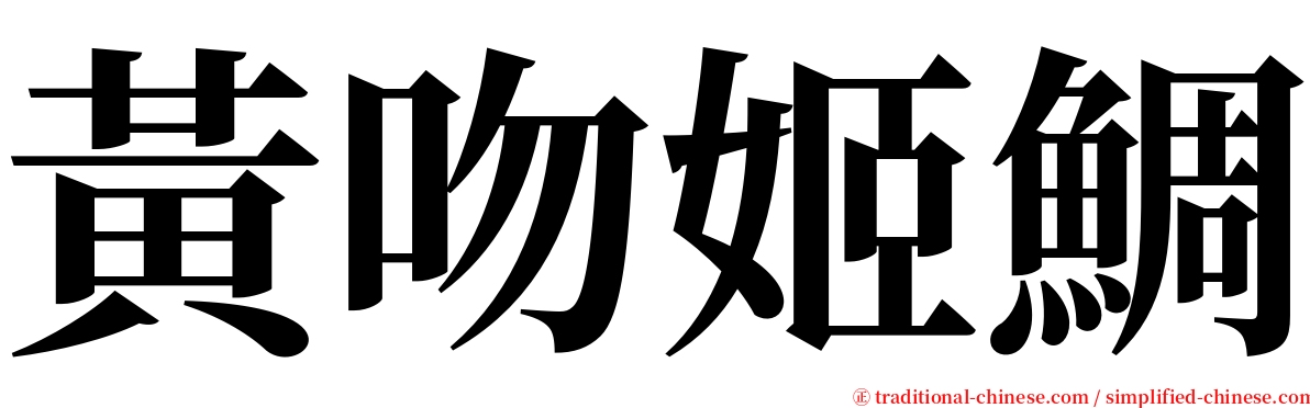 黃吻姬鯛 serif font