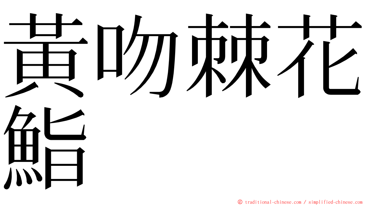 黃吻棘花鮨 ming font