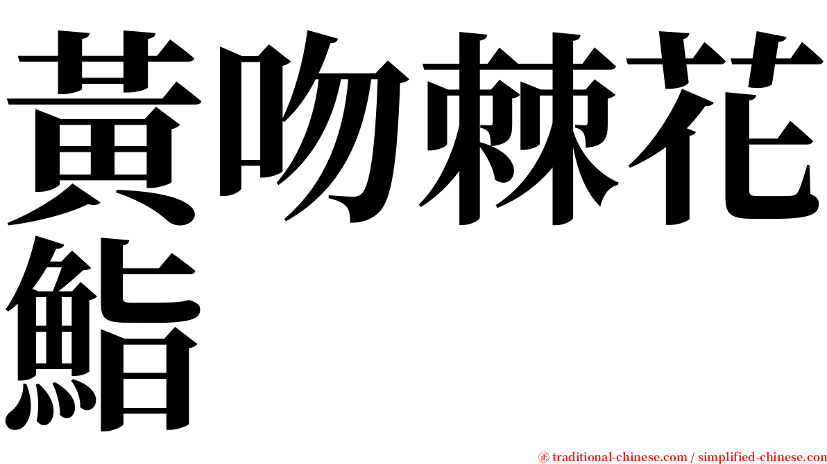 黃吻棘花鮨 serif font